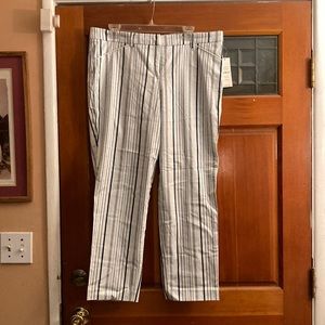 NWT Valerie Stevens Size 16 Capri Pants